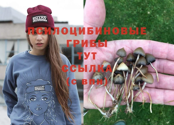 мдпв Надым