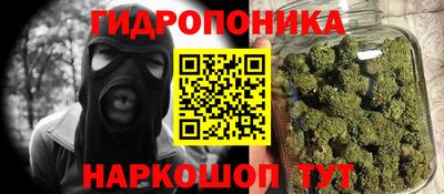шишки Гай