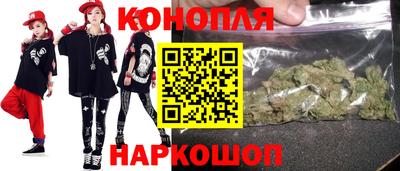 шишки Гай
