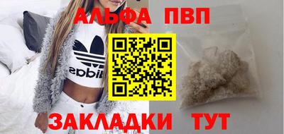 шишки Гай