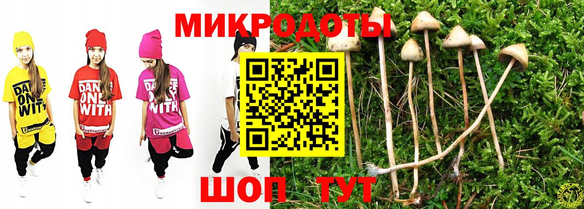 Псилоцибиновые грибы Psilocybine cubensis Зеленокумск
