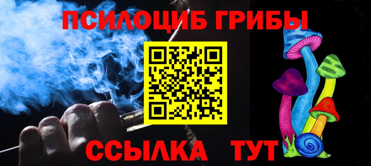 Зеленокумск  купить наркоту  Вход с VPN  Галлюциногенные грибы мицелий 