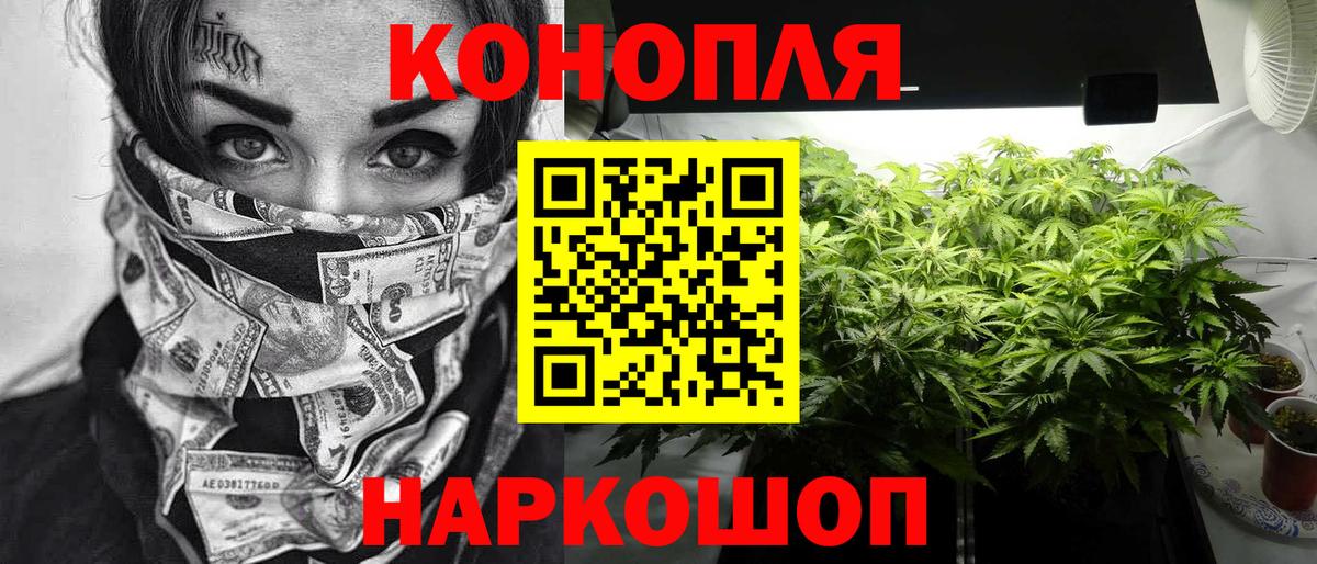 Зеленокумск  Канабис тримм  Марихуана Bruce Banner  Вход с VPN 